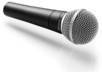 say anything you want and record it on video