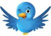 Twitter_wink