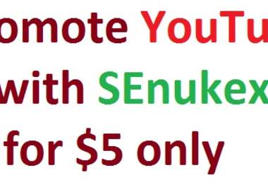 promote your YouTube video with SEnukex big1