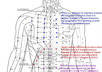 give you a 15 min one on one lesson on accu pressure and hand reflexology points for general health and wellbeing