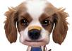 record your commercial, or personal, message on video, with Bobby, my animated cartoon dog, small1