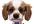 record your commercial, or personal, message on video, with Bobby, my animated cartoon dog,