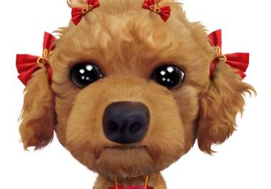 record your commercial, or personal, message on video, with Betty, my animated cartoon dog, big1