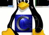 walk you through building and running a C program