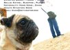 help you with your resume small1