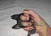Keyring_in_hand