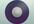show you How to Start a Record Label