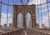 take pictures with your signage in New York City