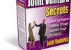 give you a secrets to success in joint ventures small1