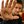 jesser722