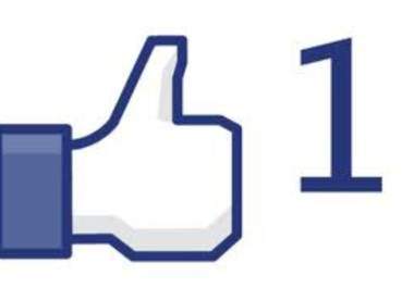 send you 250 real facebook photo likes big1