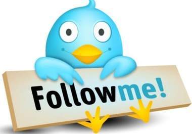 get you 15000+Real TWITTER followers follow in less then 10 hours with out the need of your password big1