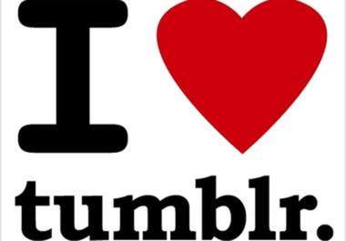 create manually +130 high tumblr DOFOLLOW backlinks within 48h big1