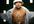 voice an impersonation of LL Cool J within 24 hours