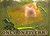 send You a HD Designed Photo Of My Dog With Your Custom Message small1
