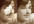 restore your old pictures in photoshop