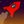 sly24