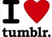 create 250 high pr, DOFOLLOW tumblr backlinks within 72 hours