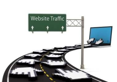 send 2000+ unique website traffic from REAL people for only big1