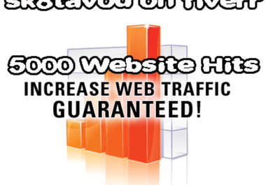 deliver 10000 UNIQUE visitors to your website to increase your Alexa / Google rating big1