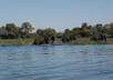 locate any fishing or hunting guide in the United States or South Africa