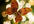 draw a large butterfly from a smaller sample