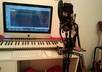 write a short personalised song and send a recording