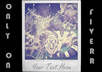 make your photo look like an old polaroid picture small1