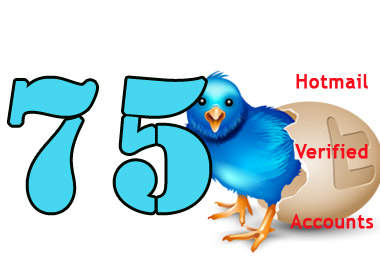 send you the best 75 quality professional twitter accounts verified with hotmail big1