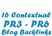 create 16 Contextual BACKLINKS and Post to PR3 to PR6 Blogs in a Large Private Network, All Dofollow