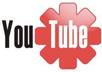 ive you guaranteed 2500+ FAST YouTube views + 50 Likes + 50 Favs + 50 Subs to your Youtube video [ Best Service ]