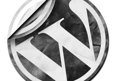 help you figure out what's going on with your WordPress big1