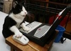 write 10 excellent comments on your blog