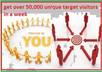 show you how to get over 50,000 IP address for your geo target visitors