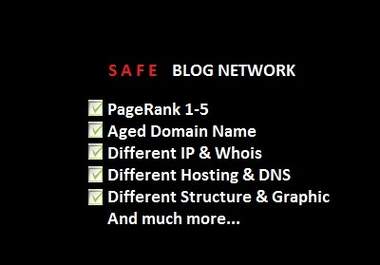 insert Your Spinned Article Into My SAFE Private Blog Networks big1