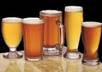 send you Brew Your Own Beer 640 Recipes