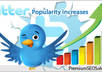 Twitter follower