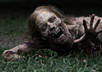 write your own customized grizzly zombie death short story small1