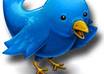 Twitter_-_cute_bird