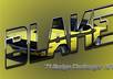 design a graphic of your FAVOURITE car, embedded in any metallic looking word small1