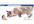 design a professional FB timeline cover for your website, product, business or personal profile