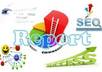 complete a profesional 35 page SEO Analysis of your website that will get you on top of Google small1