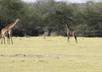 send you 10 beautiful pictures of Africa that I personally took last year