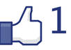deliver 100 likes to any Facebook Website Button small1