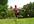 create a 30 second video of me hula hooping with your message or website in the video