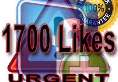 give you 1700 FACEBOOK likes fans to any page in less then 36 hours big1