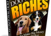 show you in details how to start your own work from home dog walking business