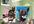make you a pet collage photo