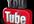 give 250 Human Youtube Views