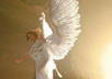create a beautiful poem from the Angels filled with love and light especially for you or a loved one small1